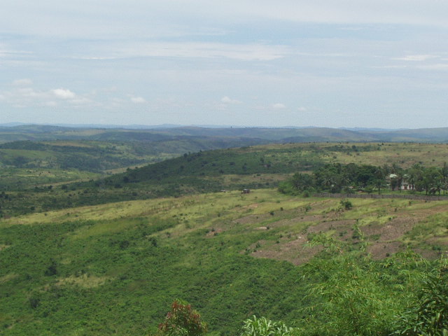 hills around Kinshasa- no tree is safe